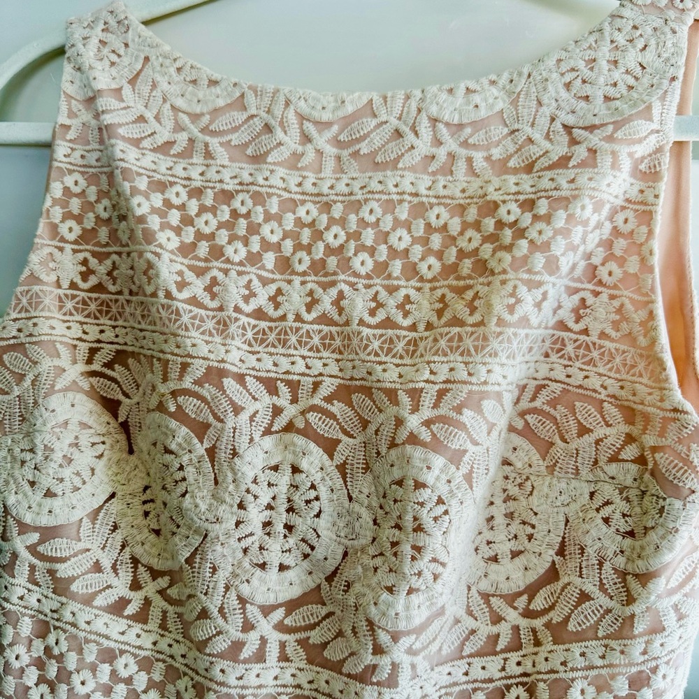 Alice Olivia Giola floral lace embroidery fit-and-flare dress Cream size 8 - Picture 7 of 10